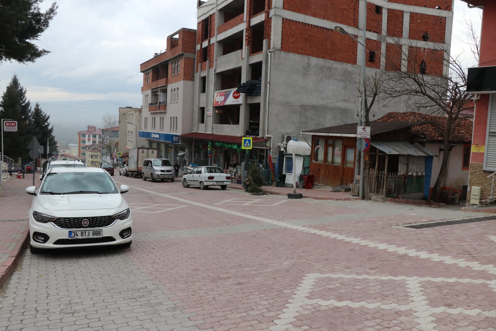 KAVAK’TA SESSİZ YAŞAM